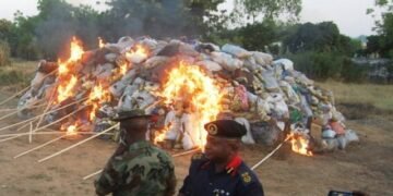 A Generation Ambushed by Drugs