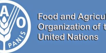 FAO: Global Food Trade Rises by 14%, an All Time Record High