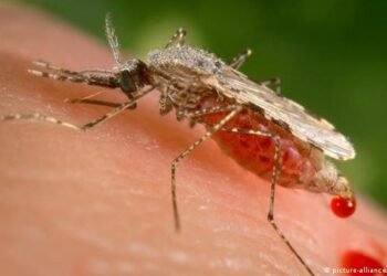 Stakeholders Urge Review of Guidelines to Strengthen Environmental Health Practice