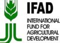 FG, IFAD-VCDP to Give $1m Grant to Vulnerable Farmers