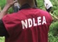 NCWS, NDLEA Synergise to Reduce Drug Use among Women