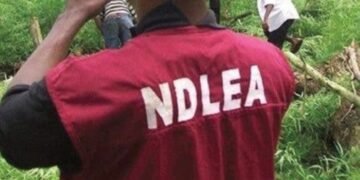 NCWS, NDLEA Synergise to Reduce Drug Use among Women