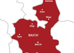 Bauchi Govt Inaugurates Committee for Creation of Sayawa Chiefdom