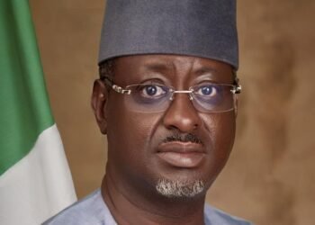 Understanding the New Shadow of Buhari at NEMA