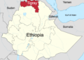 Ethiopia Crisis: UN Human Rights Council Sets up Int’l Rights Probe