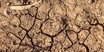 ‘$27.3Bn Lost to Salinity-induced Soil Degradation Annually’