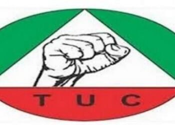 Labour Gives FG Conditions for Removing Fuel Subsidy