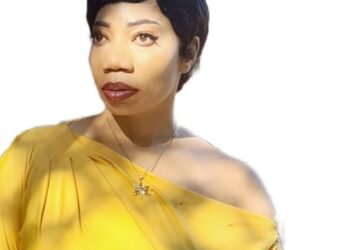 The Nigerian Vultures