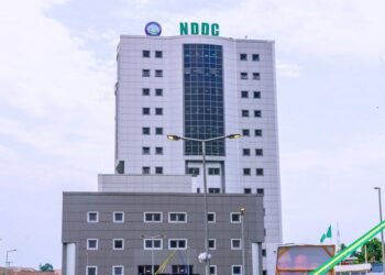 IYC Expresses Dismay over Buhari’s Delay in Inaugurating NDDC Board