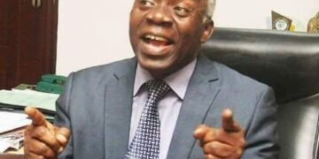 Falana tasks FG on Human Rights Laws