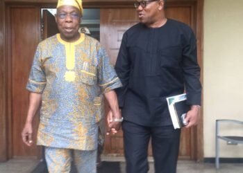 Competent Leadership Compulsory if Nigeria is to Progress, Says Peter Obi