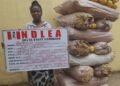 NDLEA Recovers 294,440 Tramadol Tablets, Others in Delta, Bauchi, Lagos