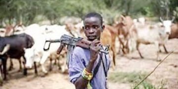 Herdsmen: Nasarawa Youths Raise the Alarm over Impending Crisis 