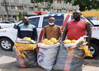 Police Operatives reject N500,000 Bribe, seize Busload of Drugs