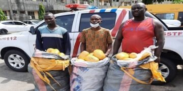 Police Operatives reject N500,000 Bribe, seize Busload of Drugs