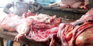 Kogi tells Residents to Shun Cow Meat as 20 ‘Die Mysteriously’