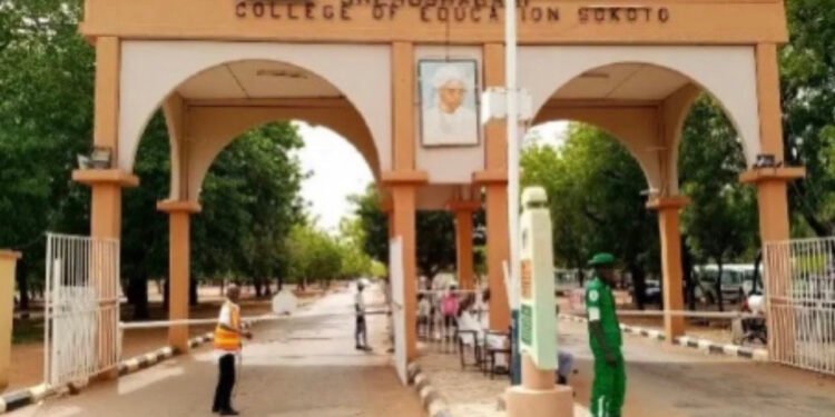 •Main gate, Shehu Shagari College of Education, Sokoto