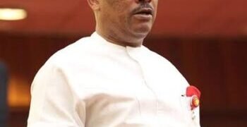 Anyanwu: PDP May be Excluded from 2023 Elections, CUPP Warns
