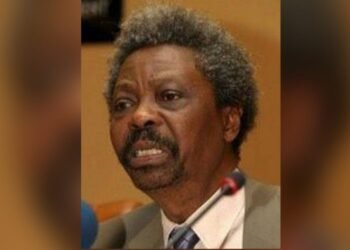 OBITUARY| Wole Soyinka loses Younger Brother, Femi, at 85