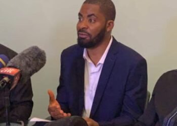 2023: Work Together to Defeat Atiku, Tinubu     •Adeyanju advises Obi, Kwankwaso