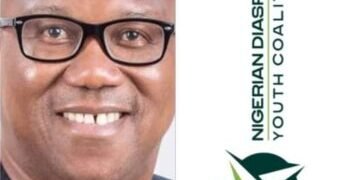 2023: Diaspora Coalition, NDYC, Backs Peter Obi’s Presidential Bid