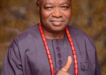Ohanaeze Ndigbo Warns ex-President of Lagos Chapter against ‘Faction Theory’