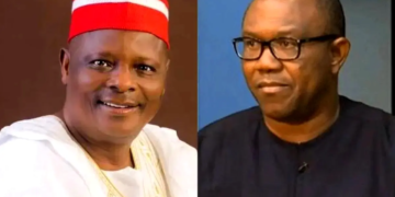 2023: Labour Party, NNPP Alliance Talks Died 4 Weeks ago – Okupe tells Nigerians