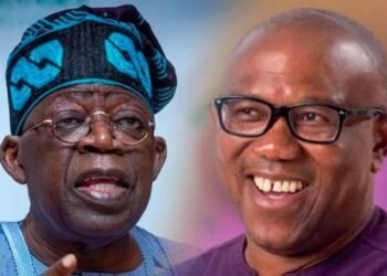 Running Mates: PDP Asks Court to Disqualify Tinubu, Peter Obi
