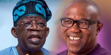 Running Mates: PDP Asks Court to Disqualify Tinubu, Peter Obi