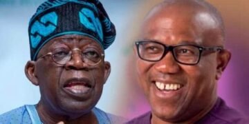 Running Mates: PDP Asks Court to Disqualify Tinubu, Peter Obi