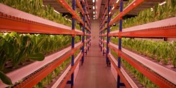 Emirates Flight Catering is Opening the World’s Largest Farm in Dubai