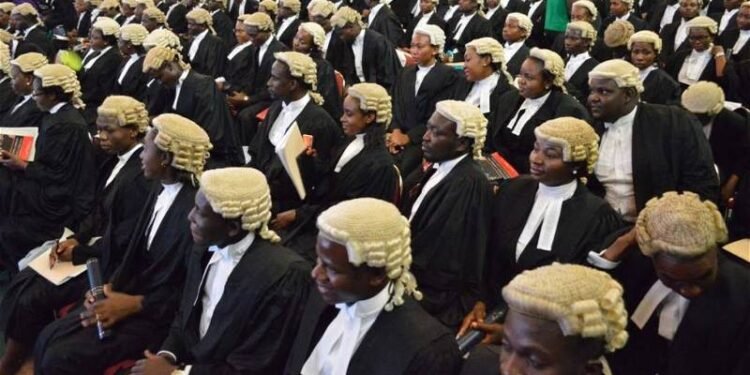 •Nigerian lawyers