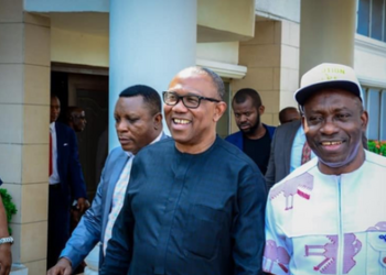 2023: What I Discussed With Peter Obi- Soludo