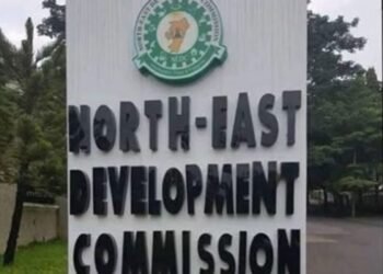 NEDC Launches N31trn Dev’t Master Plan to Rebuild North East