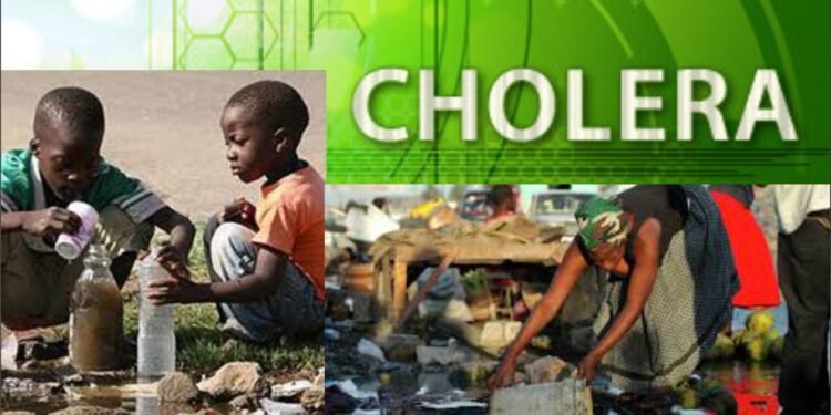 •Cholera cases in Borno