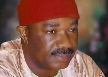 Presidential Poll: Aniebonam Knocks Atedo Peterside’s ANAP, Says ‘May be Transactional Outfit’ 