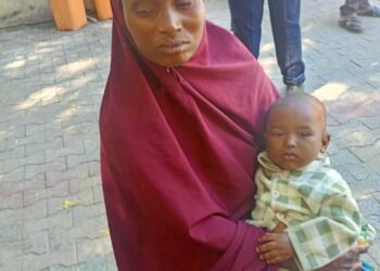 Insurgency: Being a Neighbour’s Keeper  — the Nigerian Army’s example