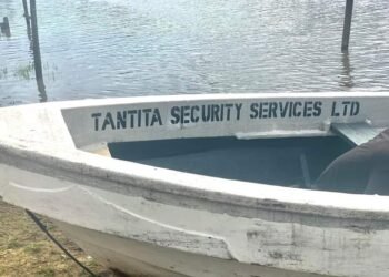 Prof Akinyemi Receives Knocks over Comments on FG’s Pipeline Security Deal with Tompolo