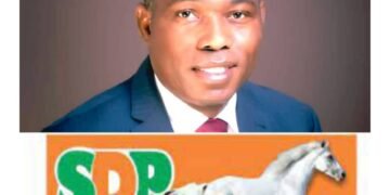 SDP Presidential Candidate, Adewole Adebayo, Set to Fix Nigeria