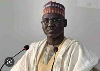 ‘The Legend of Buratai’ — The children’s book and animation that reveals Nigeria’s former army chief as a lion killer