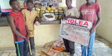 NDLEA Seizes Europe-bound 58kg Cocaine, Meth at Lagos, Abuja Airports