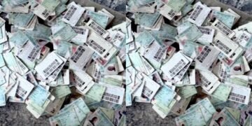 2023 Elections: Hunters Discover Thousands of PVCs in Nnewi Forest