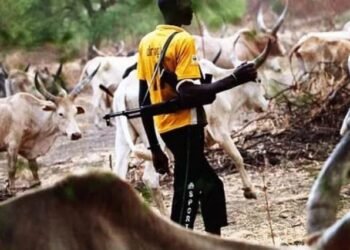 Suspected herders kill 13 in Benue communities