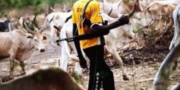 Suspected herders kill 13 in Benue communities