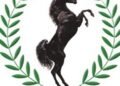 Stallion Refutes Reports on Indebtedness to GTBank