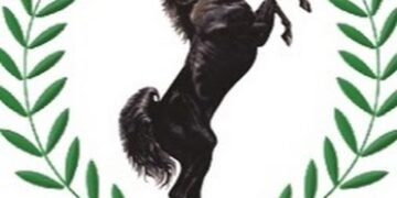 Stallion Refutes Reports on Indebtedness to GTBank
