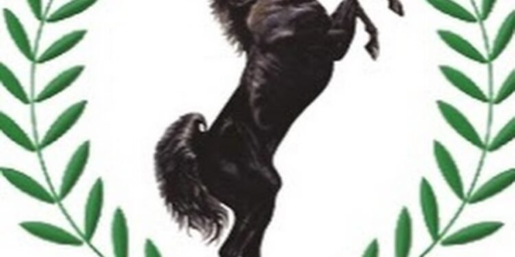 *Stallion Nigeria Ltd's logo