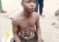 Elections: Party Agent Arrested with N3.2m Cash in Lagos