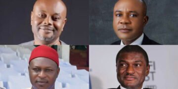 Diaspora Group Organises Virtual Town Hall for Enugu Guber Candidates