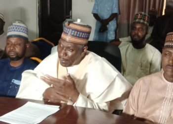 Alleged Irregularities: PDP Candidate Wants Borno Central Senatorial Election Cancelled
